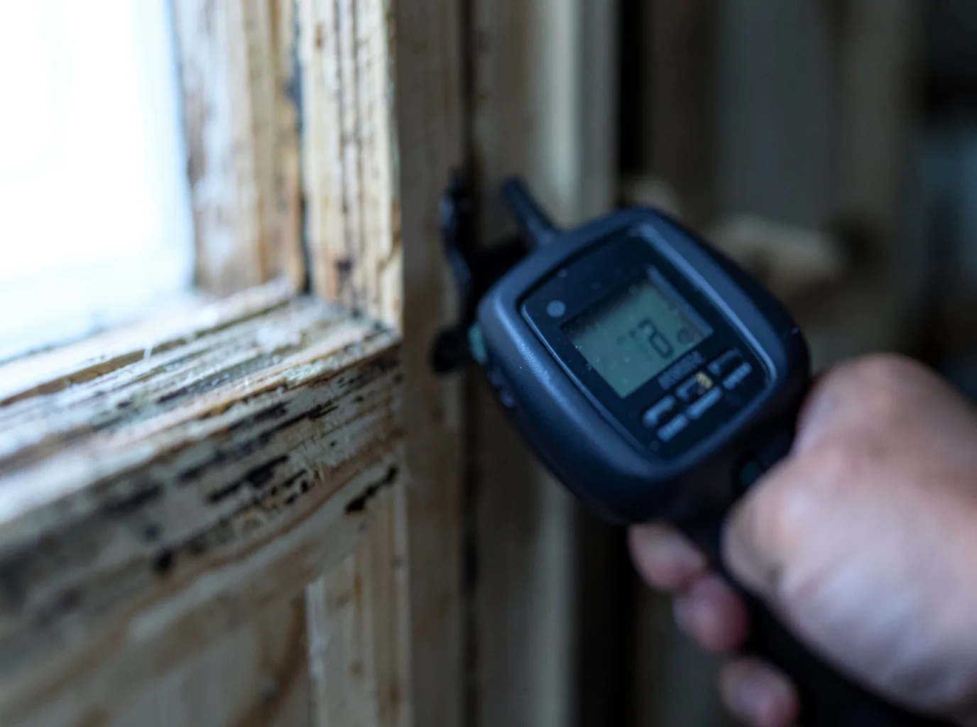 Moisture Inspection And Documentation in Lakewood, PA
